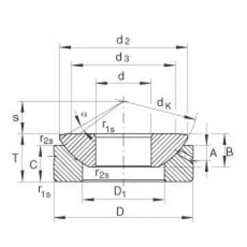 المحامل GE30-AX INA