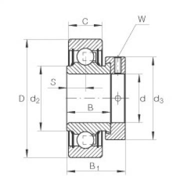 المحامل RAL012-NPP INA