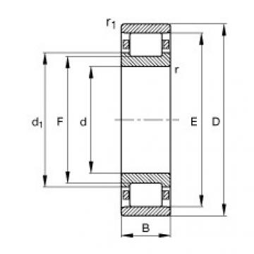 FAG Zylinderrollenlager - N216-E-XL-TVP2