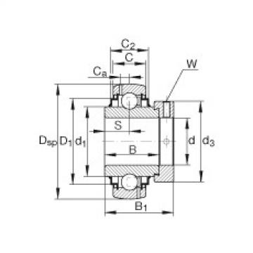 FAG شعاعي إدراج الكرات - G1107-KRR-B-AS2/V