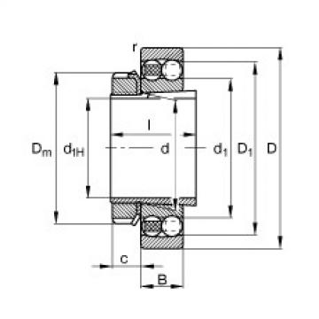 Bearing 1219-K-M-C3 + H219 FAG