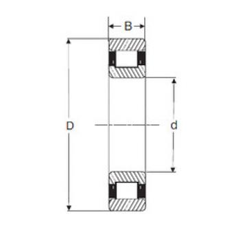 المحامل RXLS 1.1/2 SIGMA