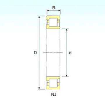 المحامل NJ 1076 ISB