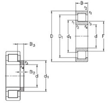 المحامل NJ205-E-MPA+HJ205-E NKE