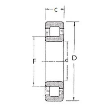 المحامل NJ407 FBJ