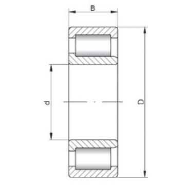 المحامل NJF2317 V CX