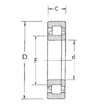 المحامل NUP315 FBJ