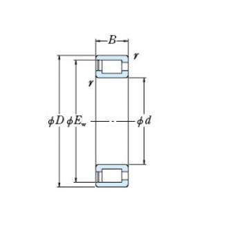 Bearing NCF30/560V