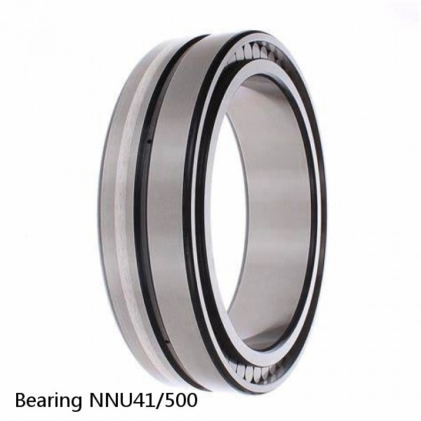 Bearing NNU41/500