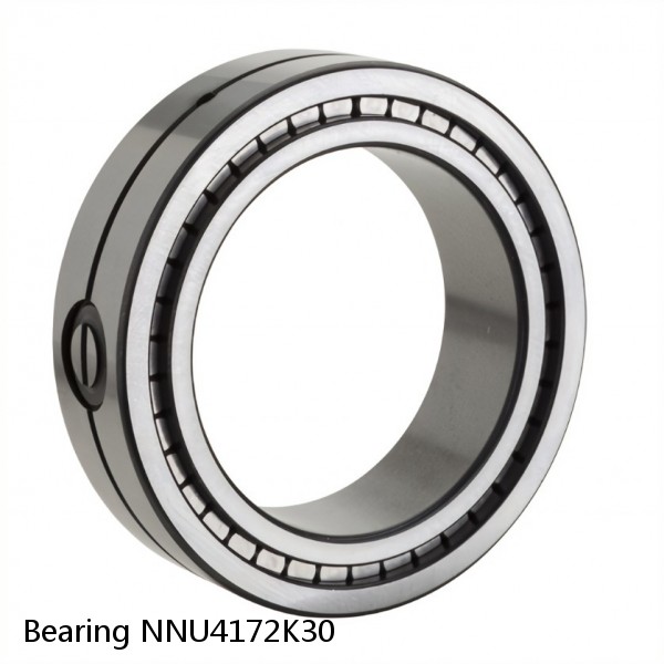 Bearing NNU4172K30