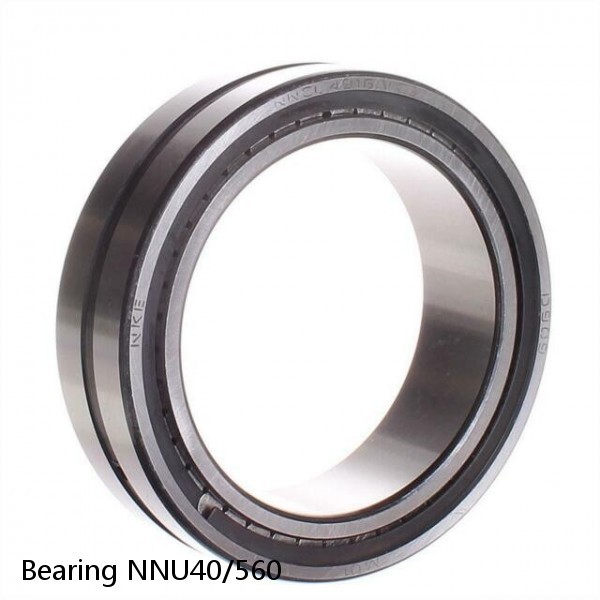 Bearing NNU40/560