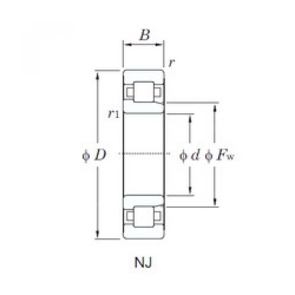 المحامل NJ2220 KOYO #1 image