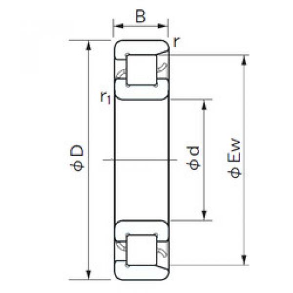 المحامل NF 204 NACHI #1 image