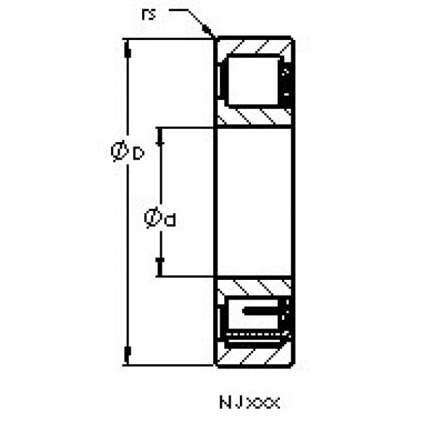 المحامل NJ217 EM AST #1 image