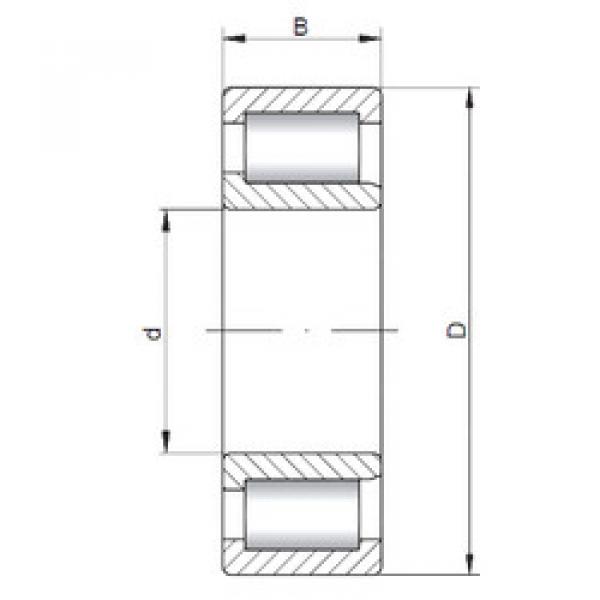 المحامل NJF2317 V CX #1 image