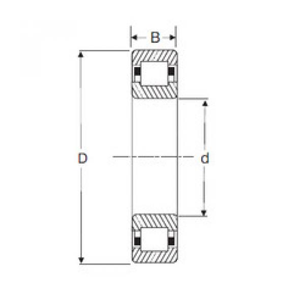 المحامل NUP 210 SIGMA #1 image