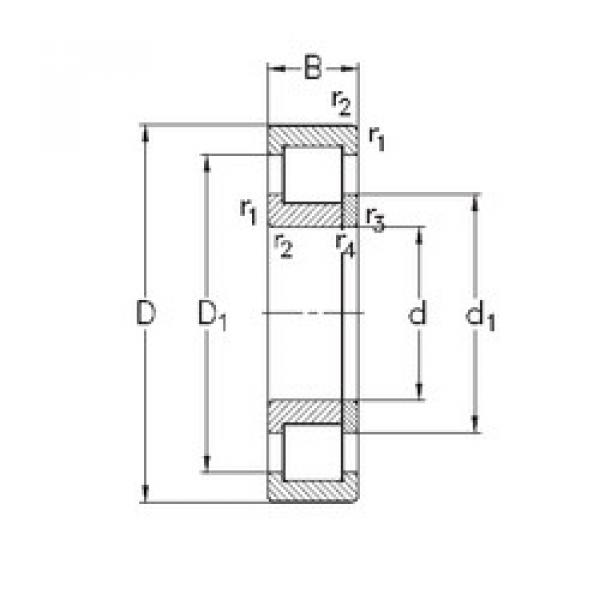 المحامل NUP2315-E-M6 NKE #1 image