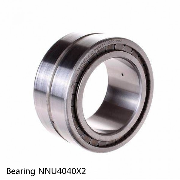 Bearing NNU4040X2 #1 image