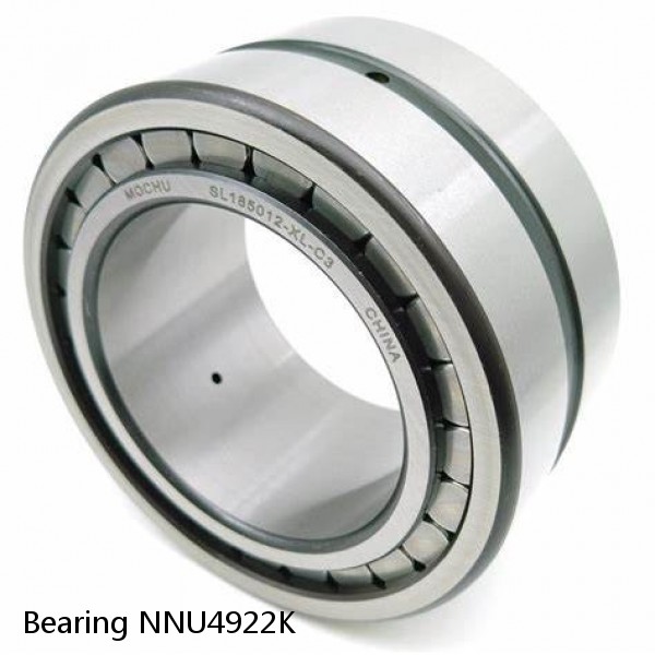 Bearing NNU4922K #1 image