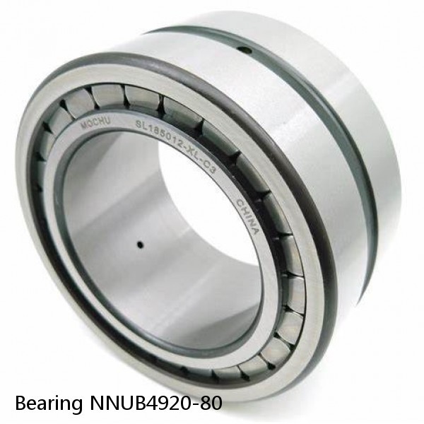 Bearing NNUB4920-80 #1 image