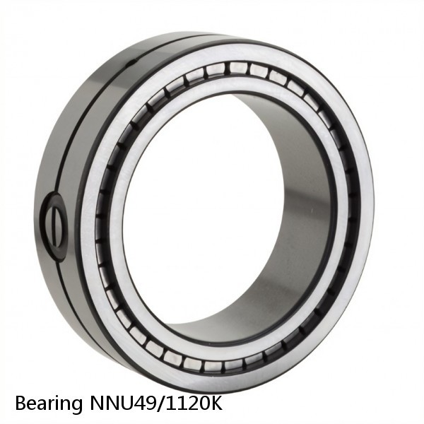 Bearing NNU49/1120K #2 image